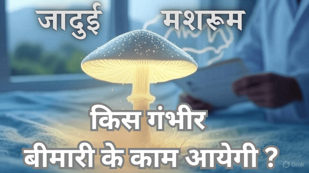 'जादुई मशरूम'